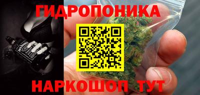 шишки Ипатово